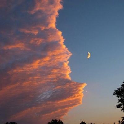 m6米乐官方入口app下载苹果截图